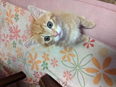 元気にしてます。