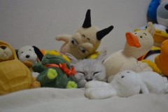 エッチで、逝きにくい？