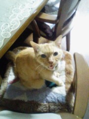 今日も日課の競馬をサボり‥‥(笑)