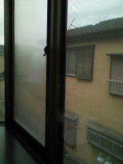 誰が指図してるのかなぁ？