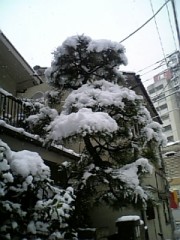 【お題日記】シェアハウス、住んでみたいですか？