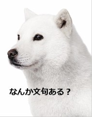 倫理無き戦い・・・ニコ動・ツイット・エスエヌエス