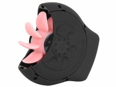 トレンドレポート・・・女性専科