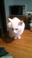 【お題日記】ひとりカラオケしたことある？