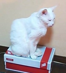 【お題日記】デジカフェ思い出話♪