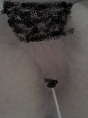 【お題日記】調教したこと、されたことある？