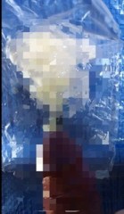 水たまりのような