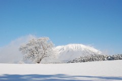 【お題日記】今日の空色。空見上げてますか？
