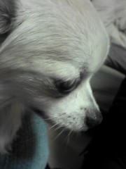 人生相談と書いてサロンと読む。