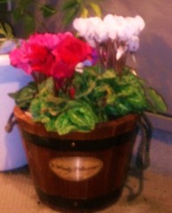 自然に癒されてます