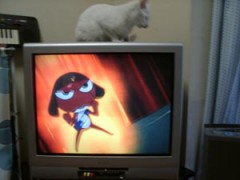 連続ドラマが苦手