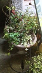 虐待の傷～再生までの500日