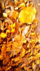 めちゃ混み病院