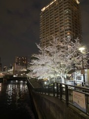 いってきました！