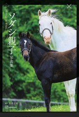 【お題日記】最近買ってよかったものは？