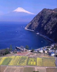 平田荘　　井田の民宿街