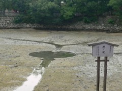 瞑想か、日を拝むか（日輪観するか）月輪観