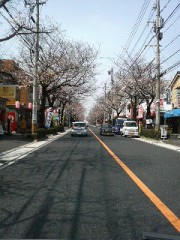 今月も宜しく！