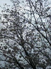 もう少しかな？