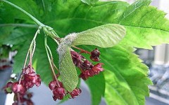 三寒四温ですね。