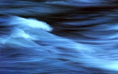 休みを取ったが、寝てばかりだった。