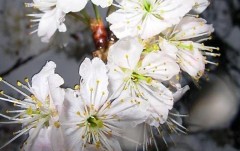 今日は、給料日でも