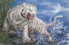 5玉の白虎のゆらい