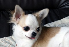 散らかしすぎ。