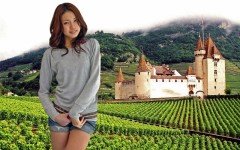 人間は表だけでよい。