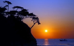 運動しています。