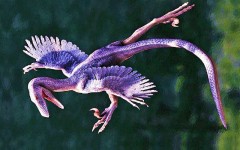 蛙が鳴き始めました。