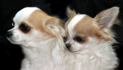 天気予報ちっともあたらない。