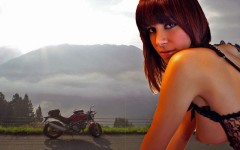 プラス思考の馬鹿　（IQ２００のトラより）