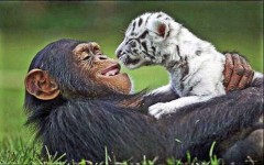 本当の優しさとは