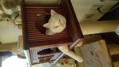 【お題日記】あなたのストレス解消法