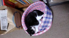 半年終わりました。