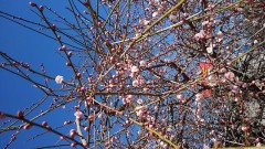 時刻表の思い出