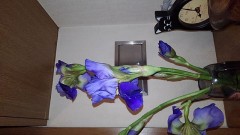 コメント受け付けない貴女へ。