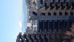 プチな記念日(笑)