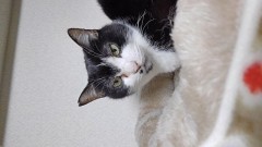 【お題日記】仕事後の楽しみ