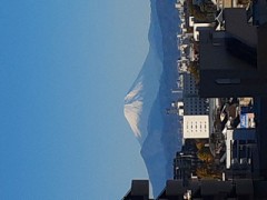 サンタさんから八百万の神様へ