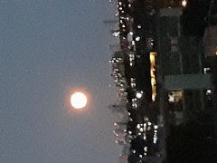 先日の名月ナイス