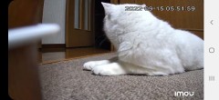 こんな感じで映ります(笑)