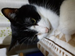 冷えて来ると。