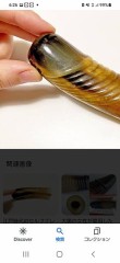 前回の皆既月食の時