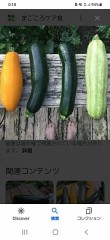 タイトルに因んで　裏版(笑)