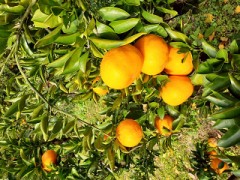 爽やかな天気の中を