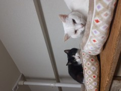 毎朝ですが(笑)