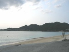 変わりゆく姿・・・・・