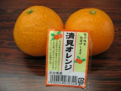 新種発見・・・・